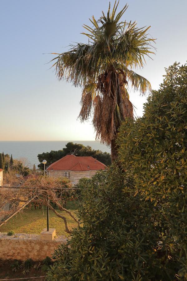 Studio Apartments Kalma Ντουμπρόβνικ Εξωτερικό φωτογραφία